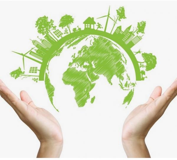 NBCERT Belgelendirme