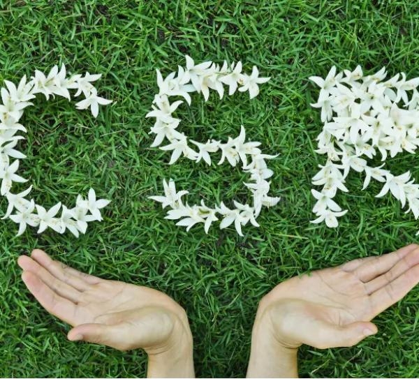 NBCERT Belgelendirme