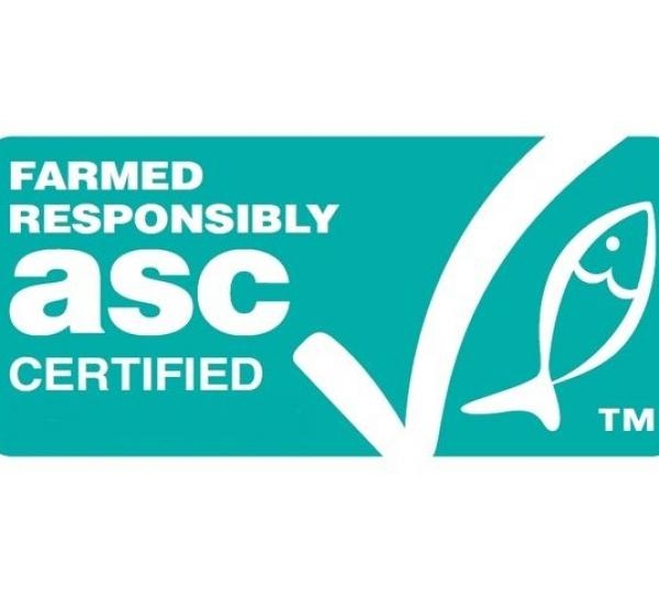 NBCERT Belgelendirme