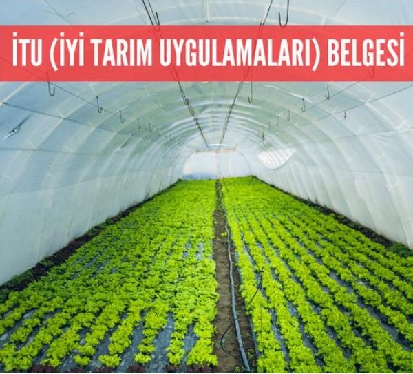 NBCERT Belgelendirme