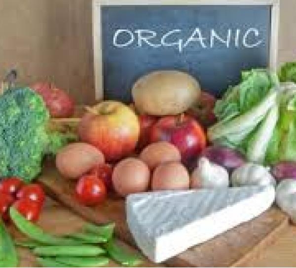 NBCERT Belgelendirme